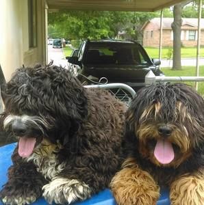 Meet your Posher, Eduardo